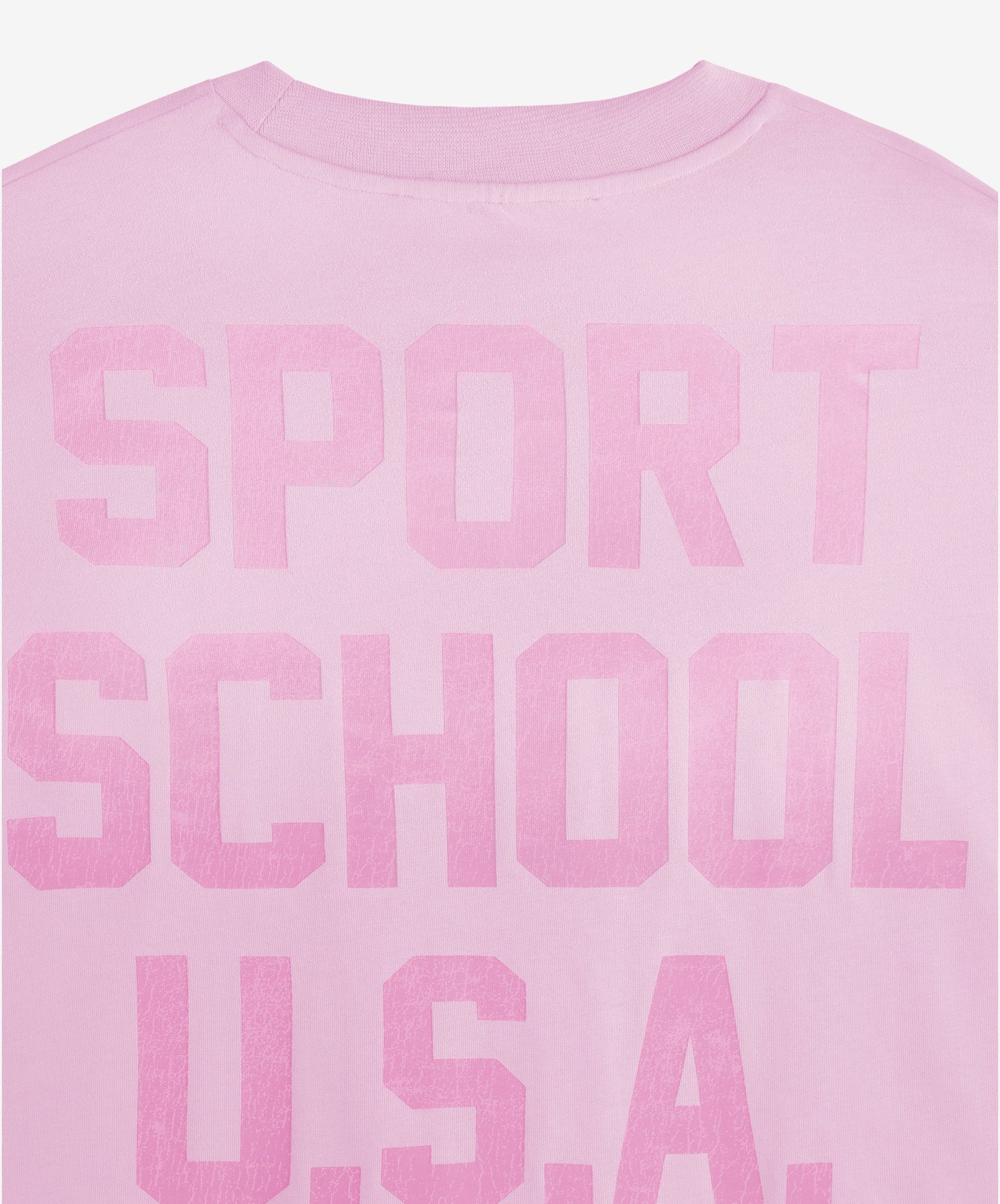 Sports School Usa Longsleeve Rose